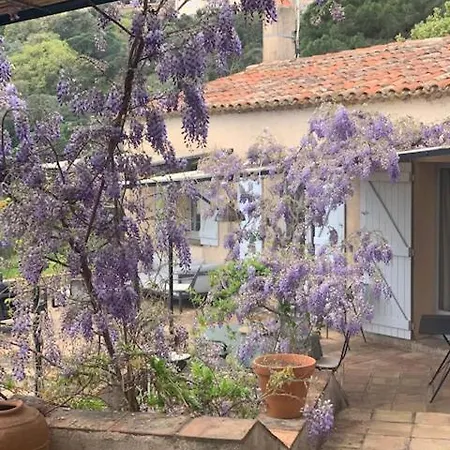 Le 54 * Ramatuelle